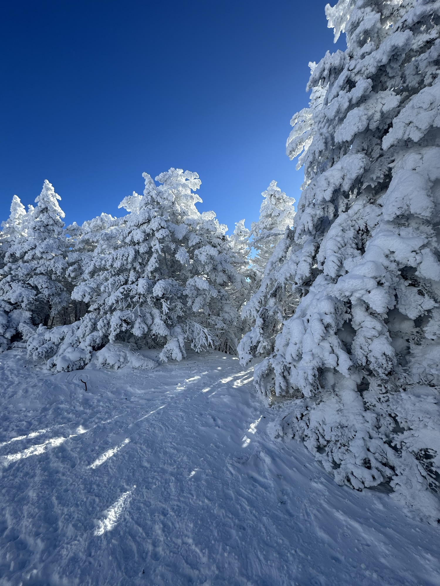 Anti-Inflammatory Eating and Living!