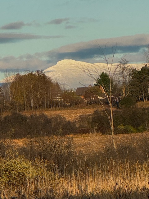 Winning the lottery?