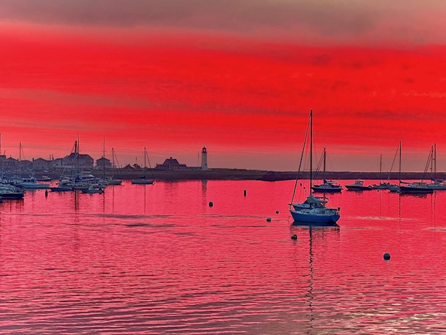 Just another day at the hospital